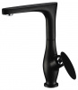 Смеситель кухни черный Kaiser  02044-2
