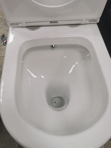 Унитаз монолит со встроенным биде SM5003B