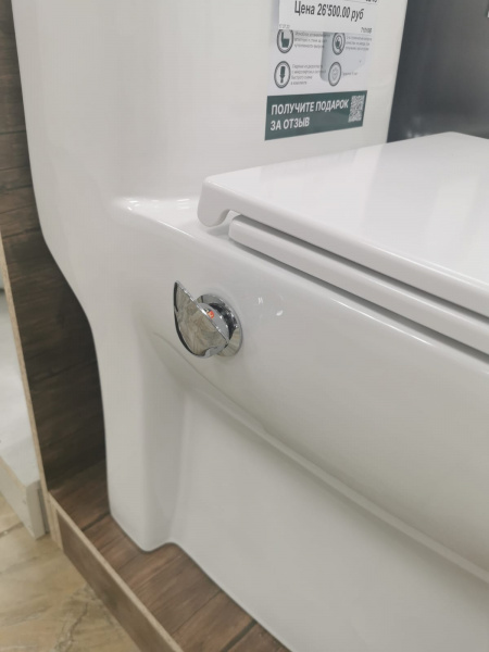 Унитаз монолит со встроенным биде SM5003B